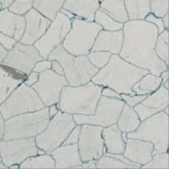 Flexco Dissipative Tile Gray/Dark Gray 24-in X 24-in Vinyl Tile Flooring (4-sq Ft)