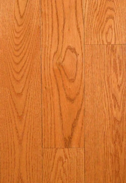 Nubrisa Premier Flooring SPKDF59H203 Colonial Oak 3/4" X 5" Oak Hardwood Flooring
